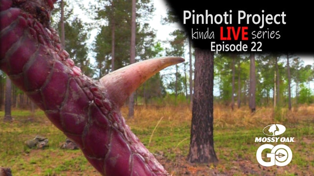 Kinda Live • Episode 22 • Pinhoti Project