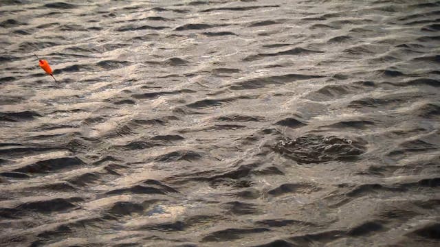 IFA Redfish Tour 2018 Championship Da...