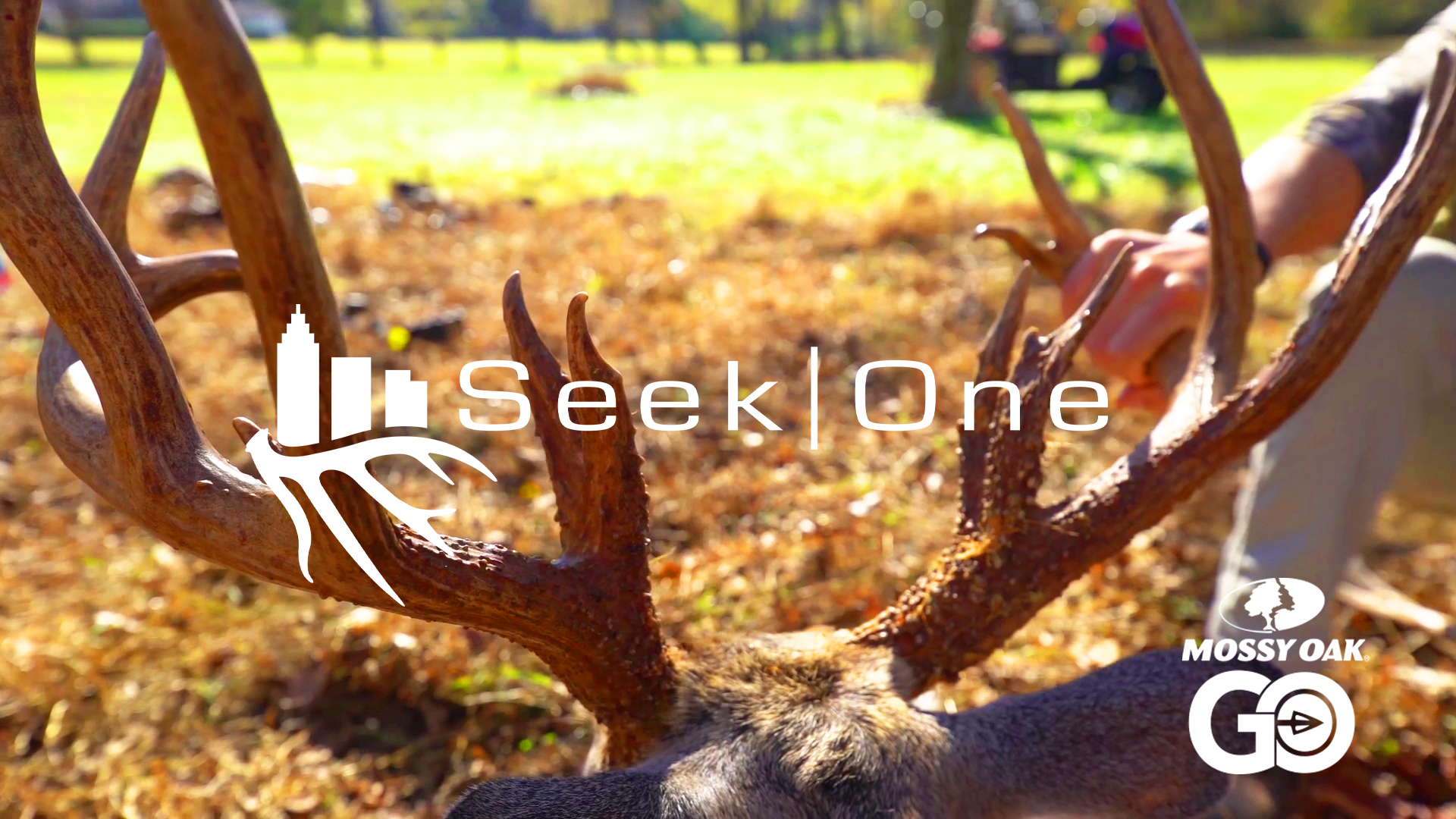 Seek One - Mossy Oak GO