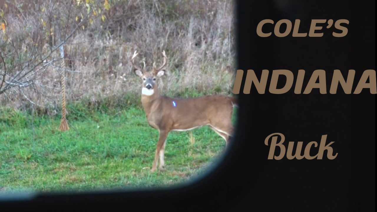 Doing Whatever It Takes To Recover Coles Buck • Stompin' Groundz