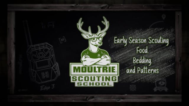 Early Season Scouting • Food, Bedding...