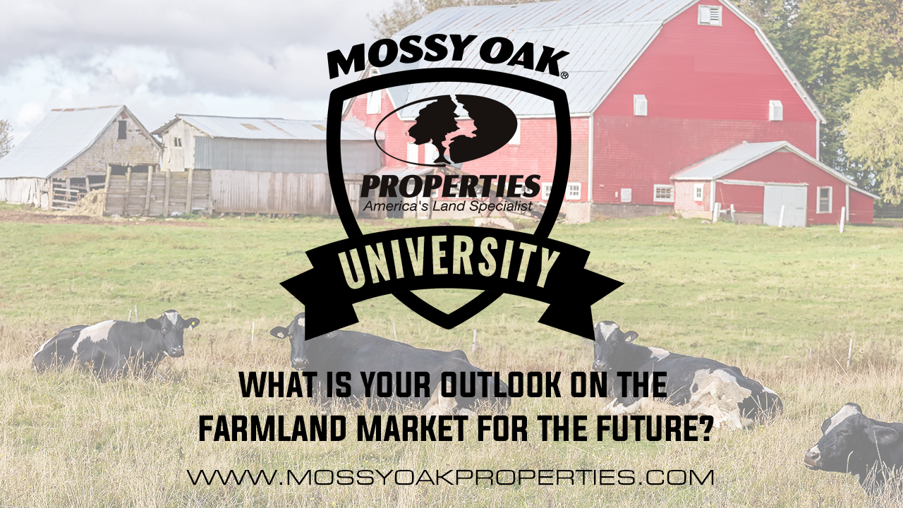 What Is Your Outlook On The Farmland Market For The Future?