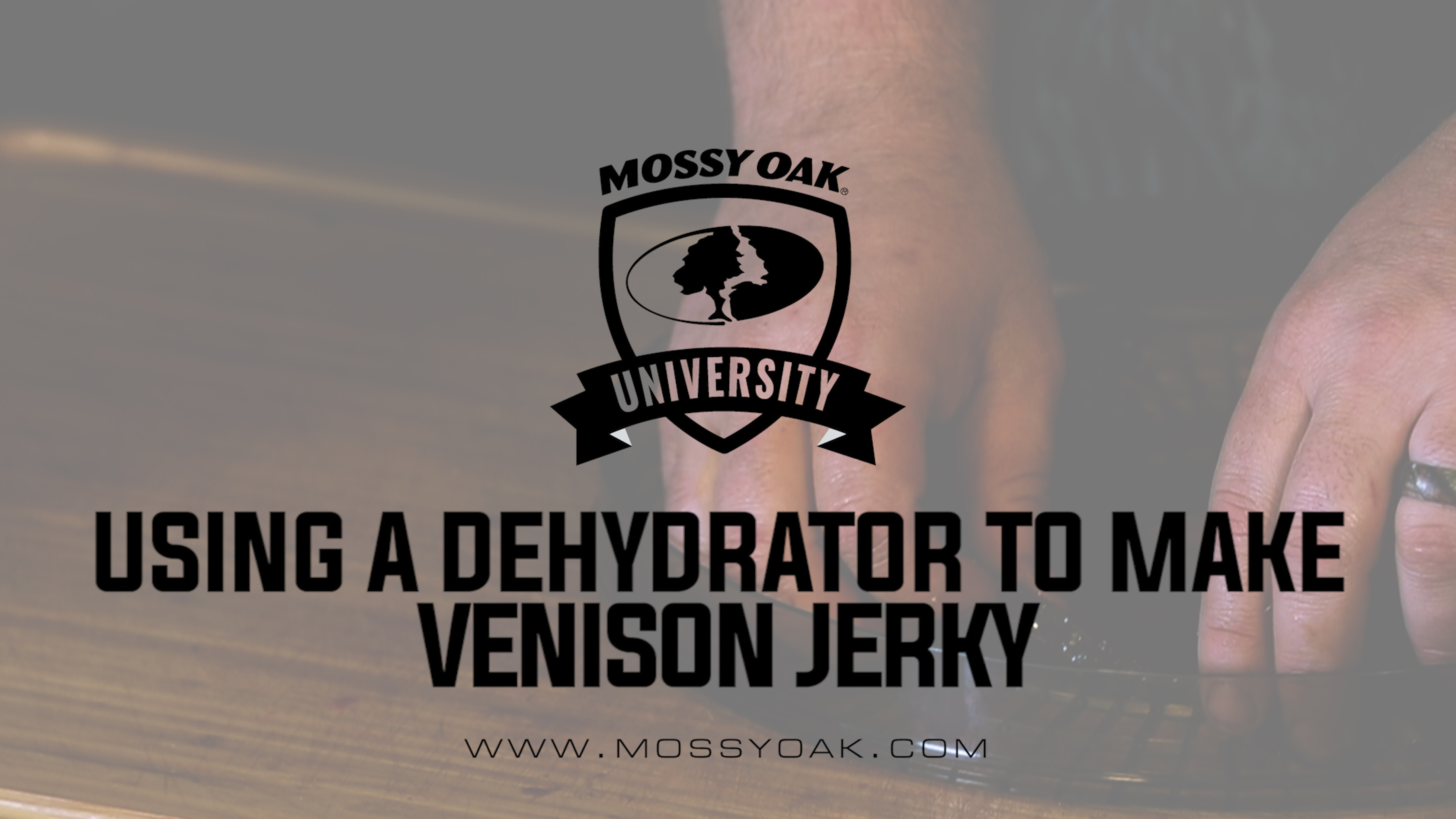 Using A Dehydrator To Make Venison Jerky