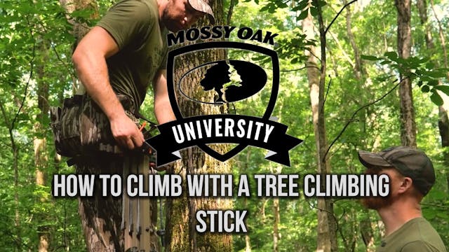 How to Climb with a Tree Climbing Stick