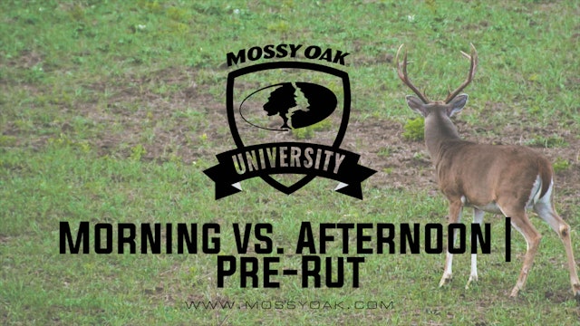 Pre-Rut Hunting Tips | Morning vs. Evening