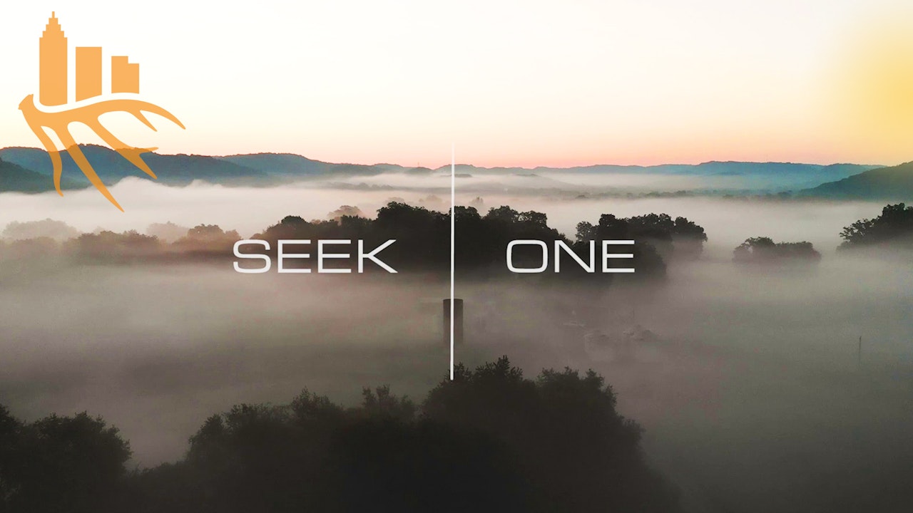 Seek One