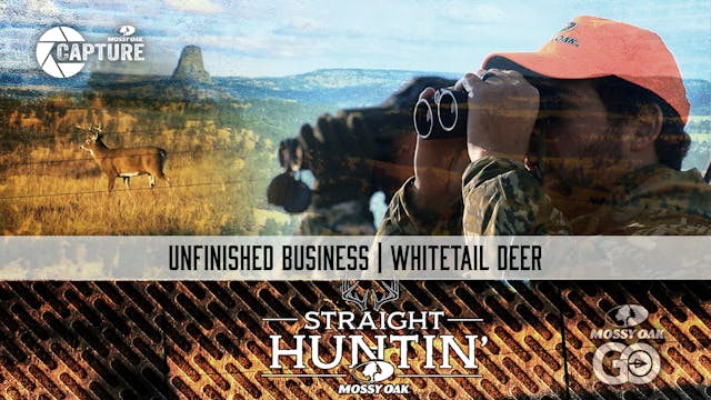 Unfinished Business • Whitetail Deer ...