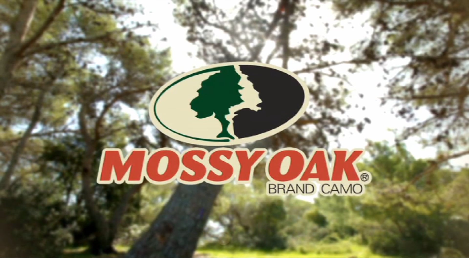 Strutt and Putt, Part 2 • Turkeys in Nebraska