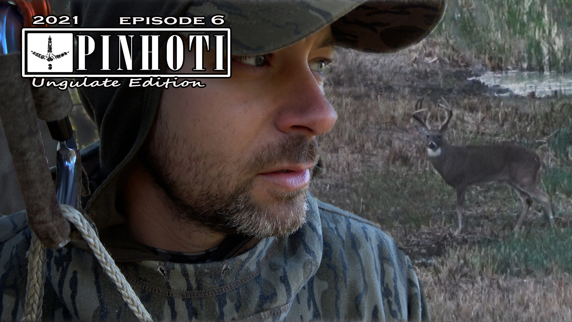 Ungulate Edition Ep6 • Pinhoti Project