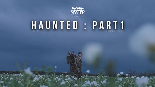 Haunted Pt. 1 • Chasing 49