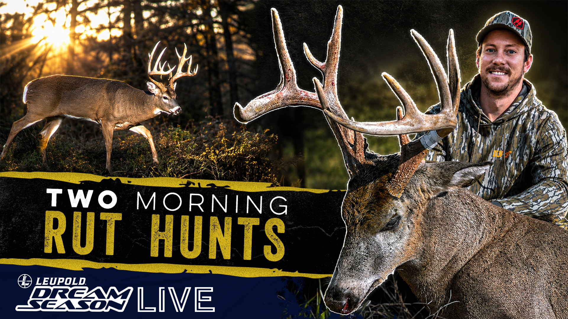 November Success: Iowa Rut Rewind | Dream Season Live