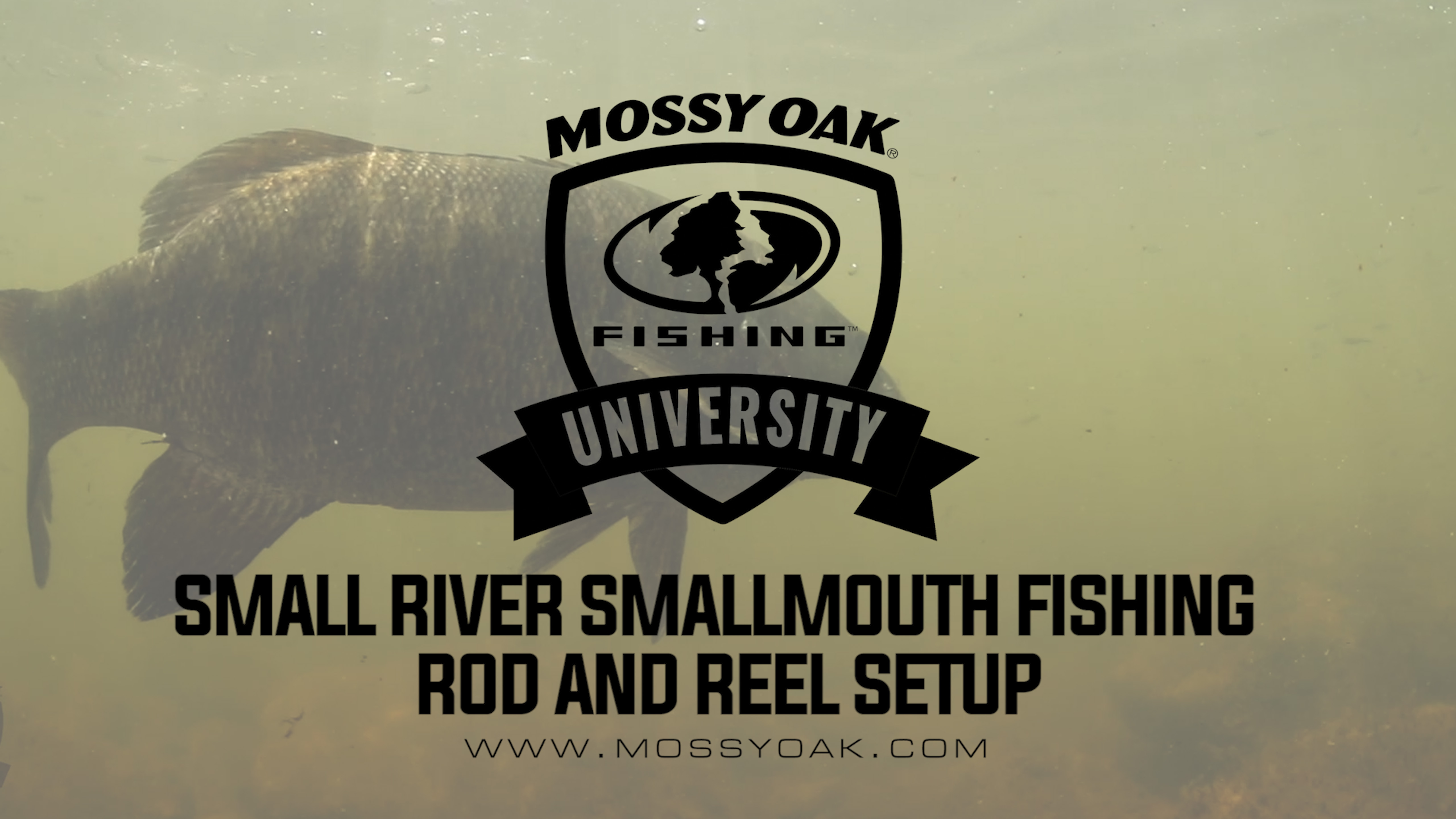 Best Rod And Reel For Fishing For Smallmouth Bass In Small Rivers