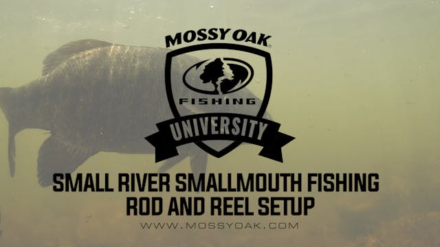Best Rod And Reel For Fishing For Sma...