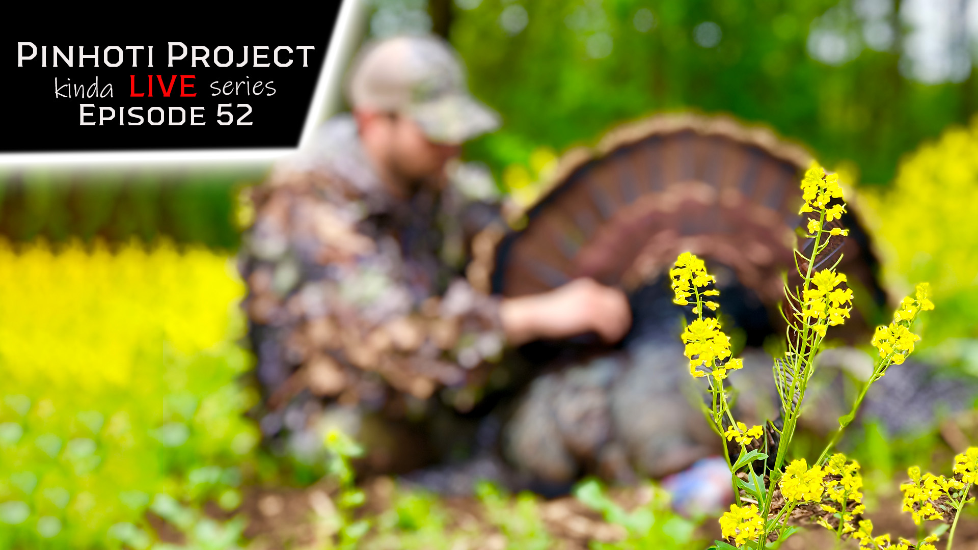 Kinda Live • Episode 52 • Pinhoti Project