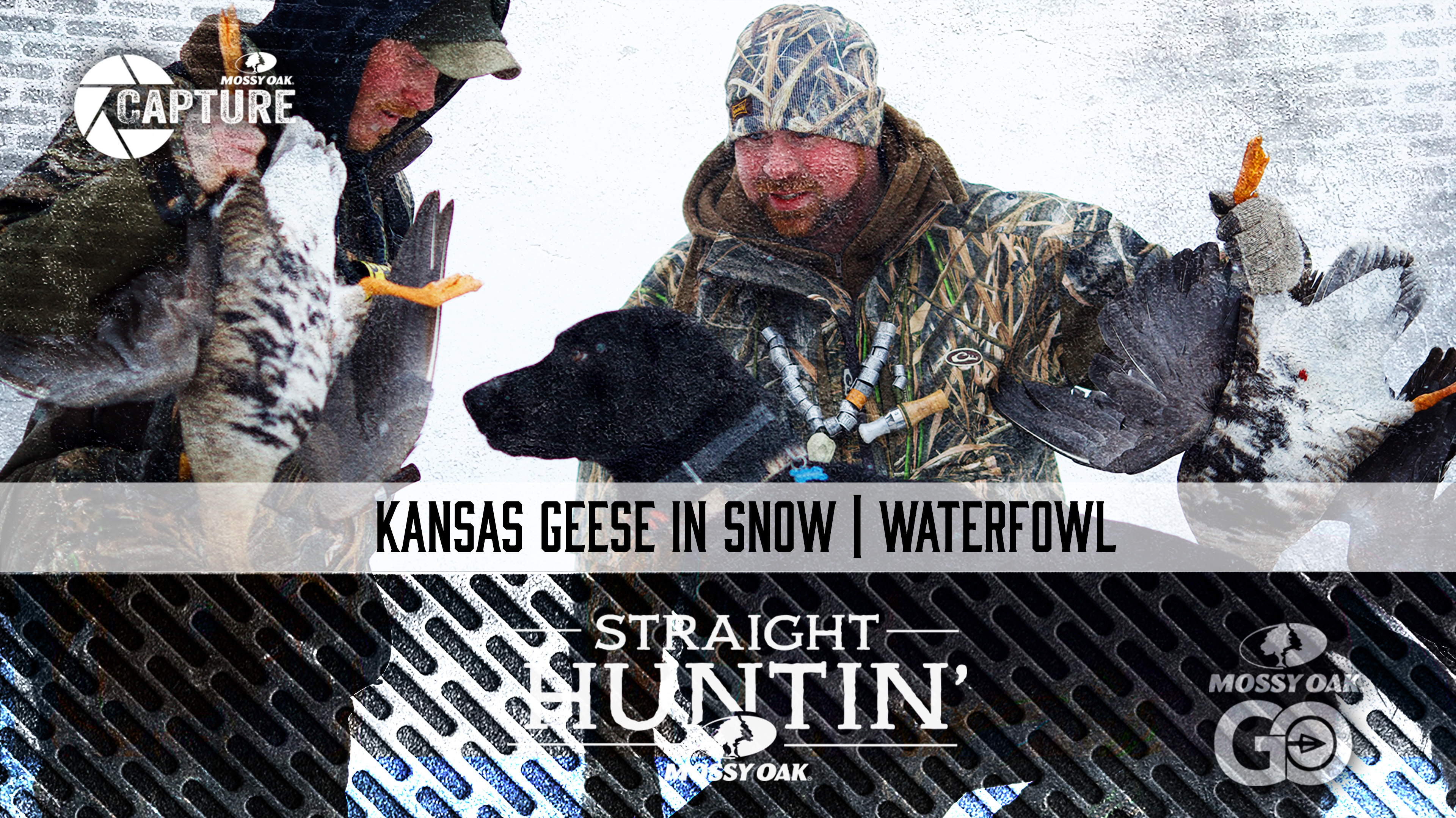 Kansas Geese in the Snow • Straight Huntin'