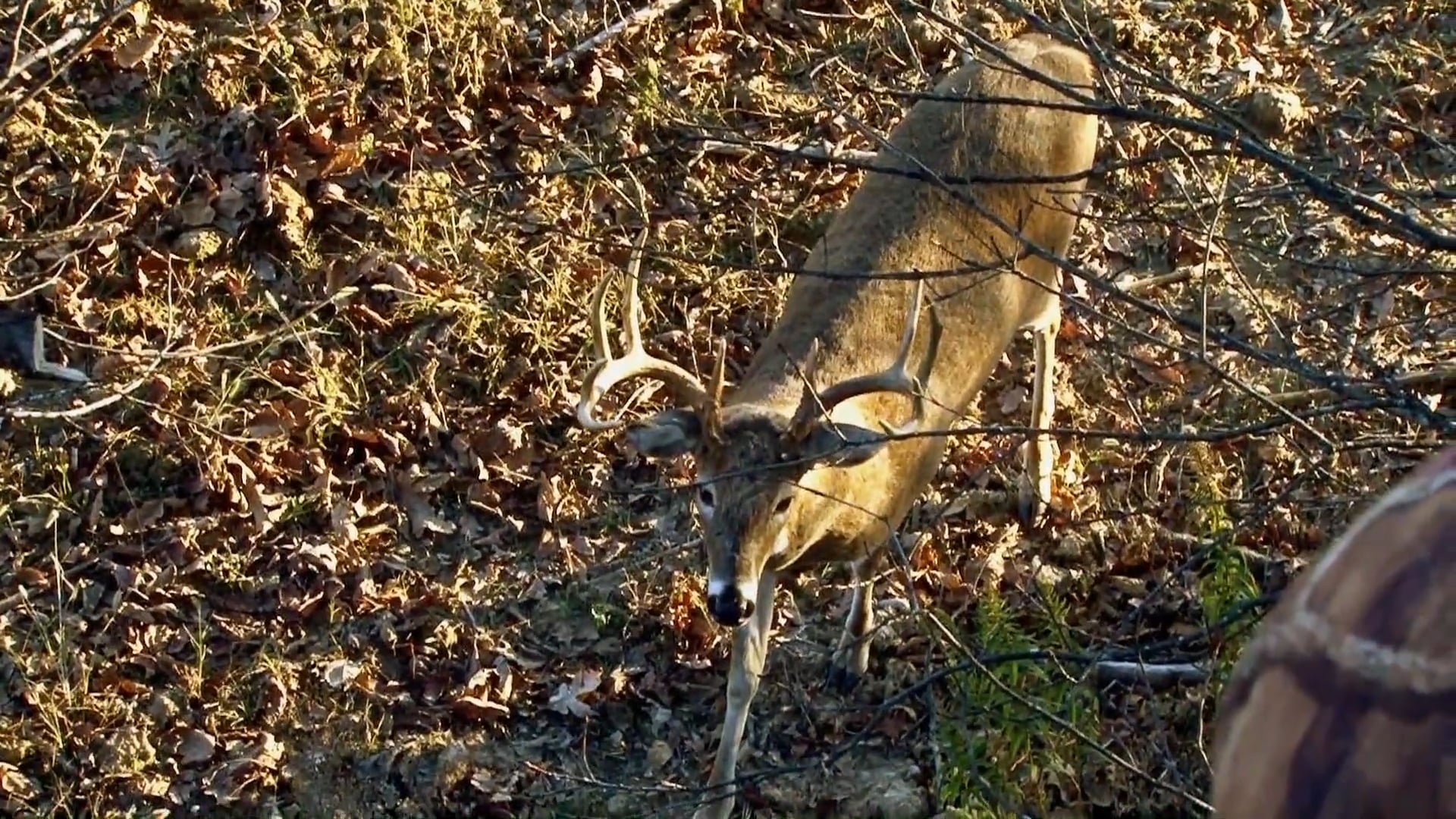 A Hard Angle To Shoot • NBK Episode 3 S6