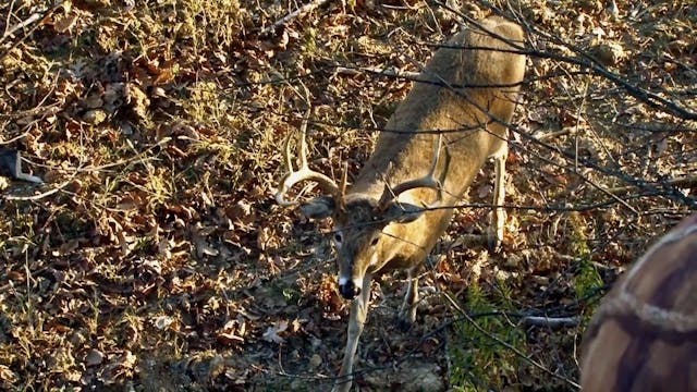 A Hard Angle To Shoot • NBK Episode 3 S6