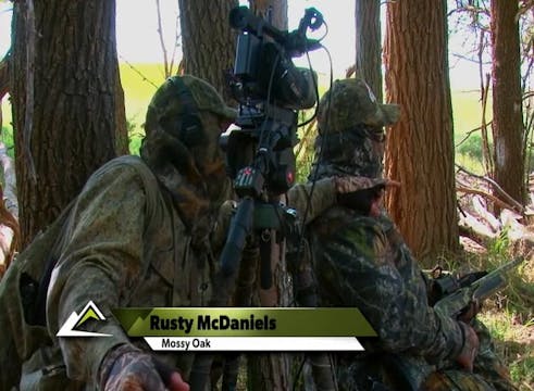 Turkeys Strike Out • Home Runs in Kansas