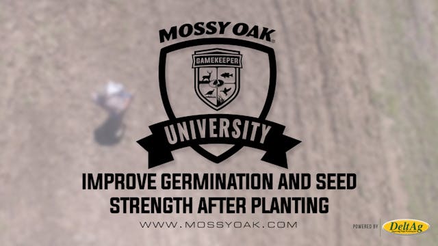 Improve Germination and Seed Strength...