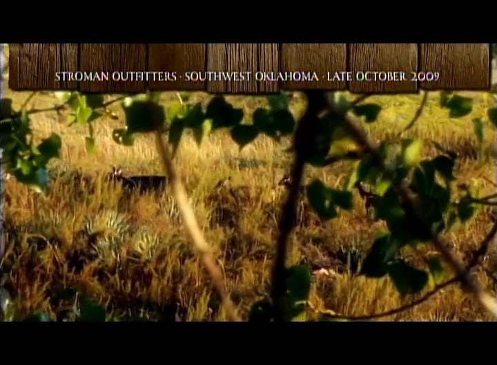 Father Knows Best • Whitetails and Muzzleloaders