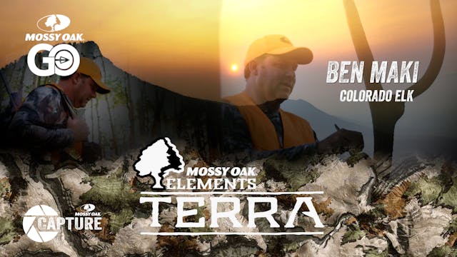Ben Maki Colorado Elk • Terra