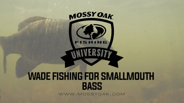 Wade Fishing For Smallmouth Bass