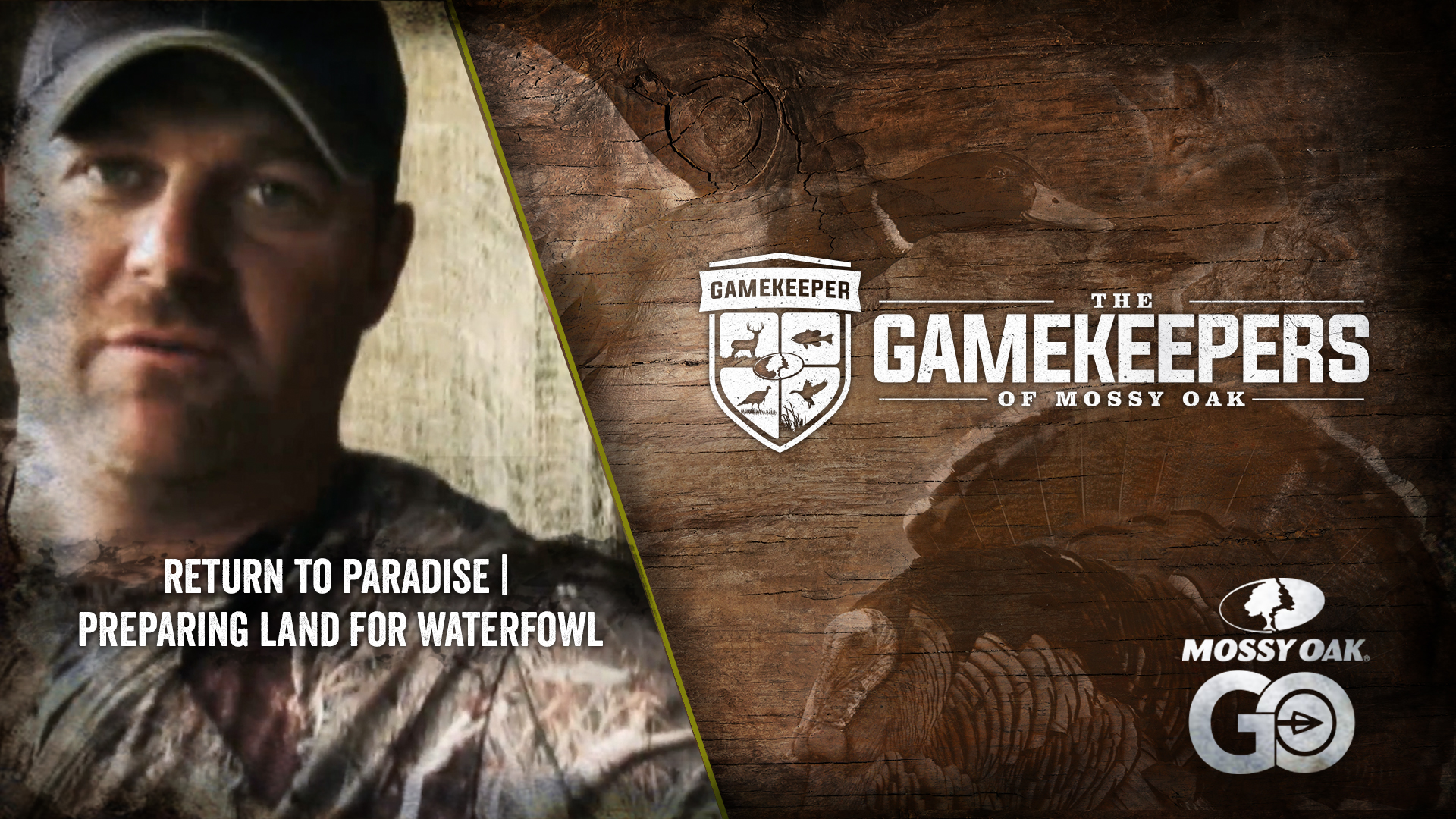 Return to Paradise • Preparing Land for Waterfowl and Doves