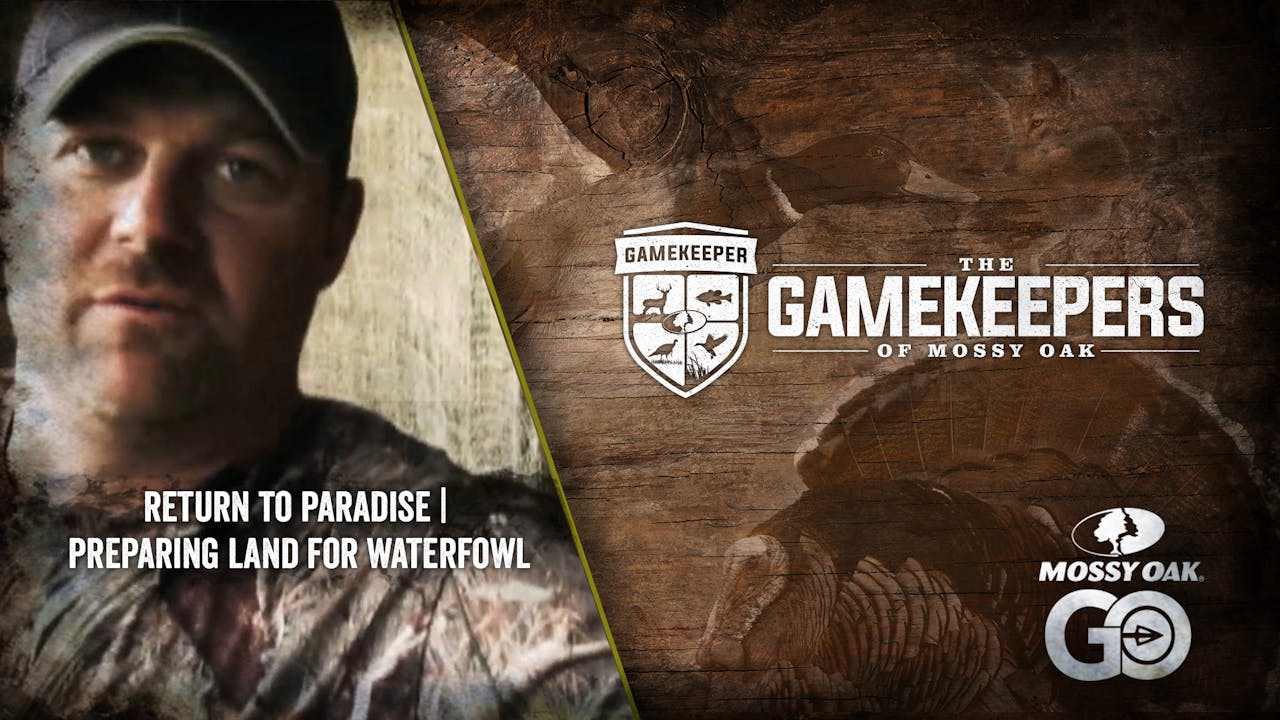 Return to Paradise • Preparing Land for Waterfowl and Doves Mossy Oak GO