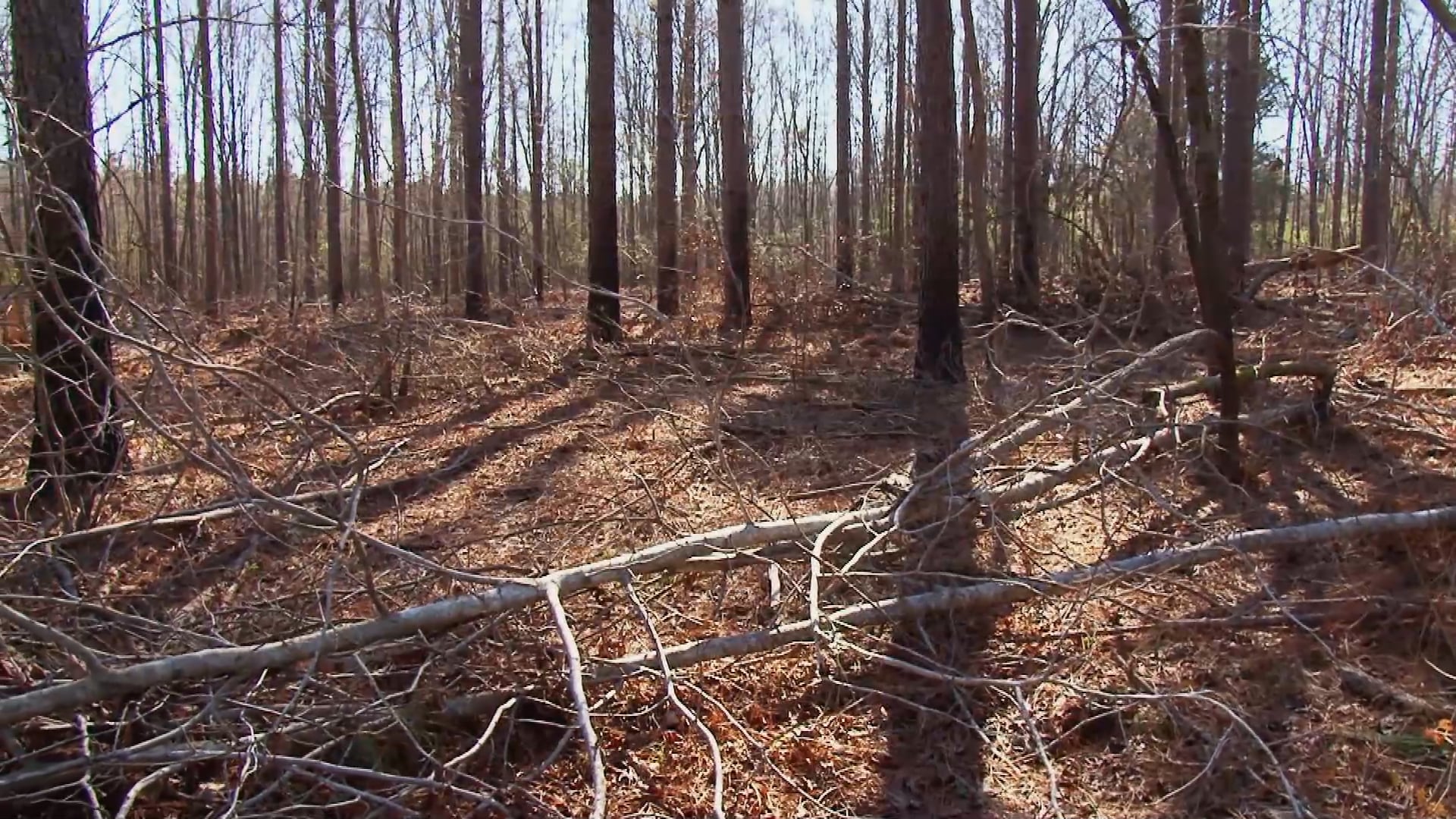 The Next Step • Creating a Good Plan for Your Property