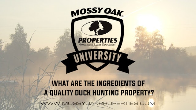 What Are The Ingredients Of A Quality Duck Hunting Property