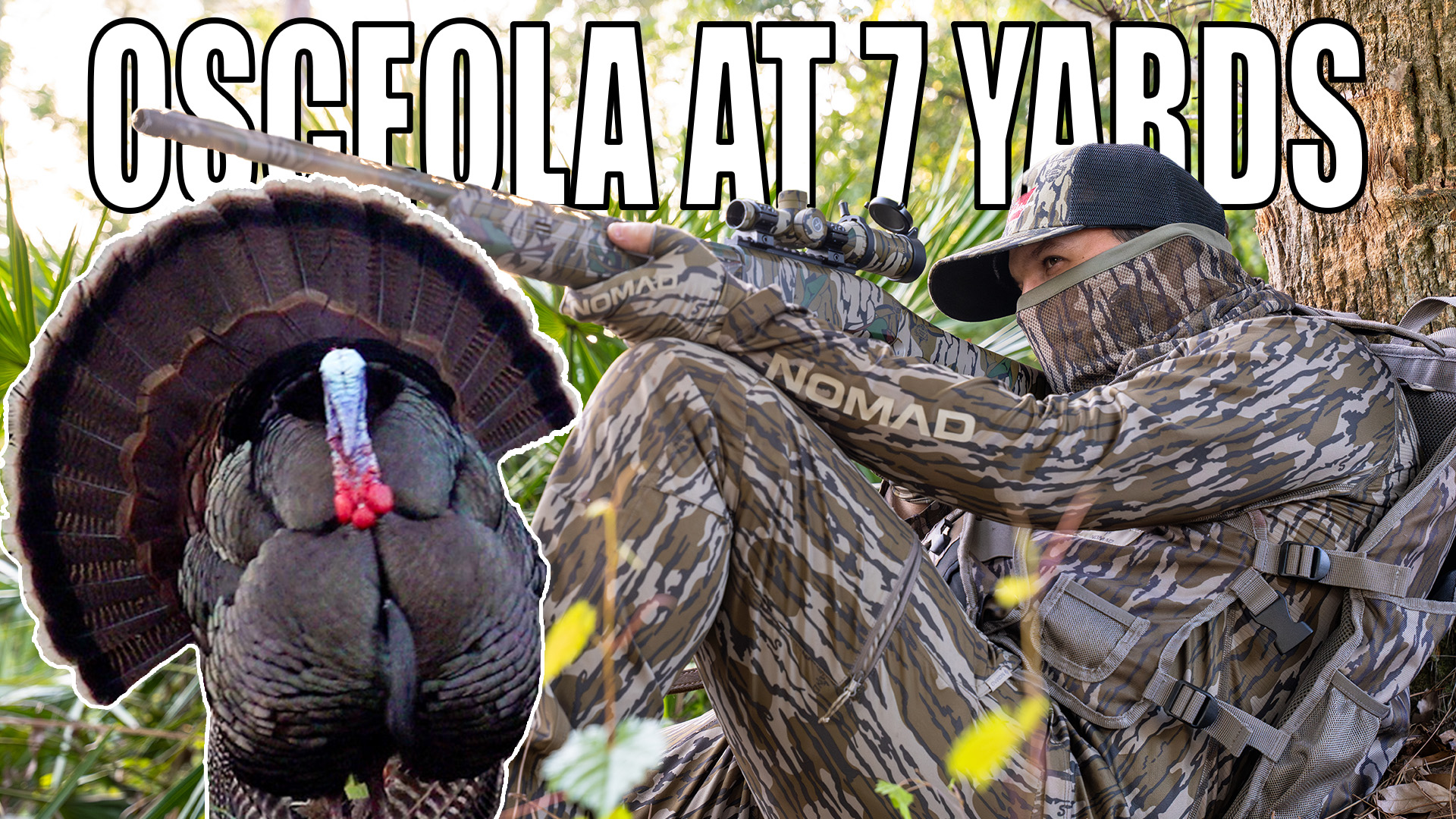 Up Close and Personal Turkey Hunt • Country Outdoors Adventures