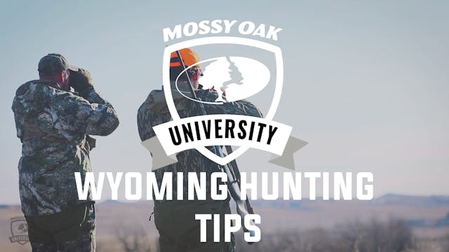 Wyoming Hunting Tips