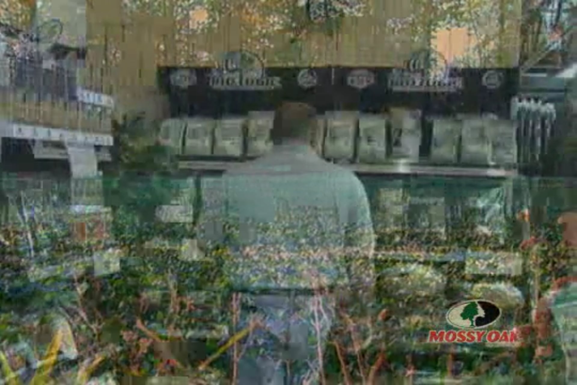 Rattling and Running • Whitetail Hunts in Kansas and Mississippi