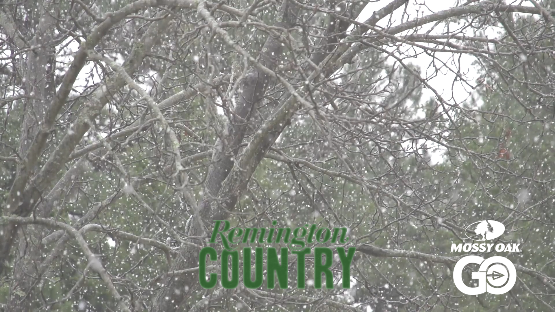 Thanksgiving Whitetails • Remington Country