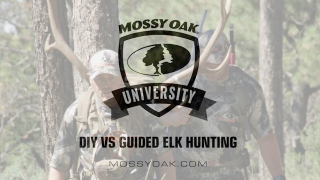 DIY vs Guided Elk Hunting • Mossy Oak University