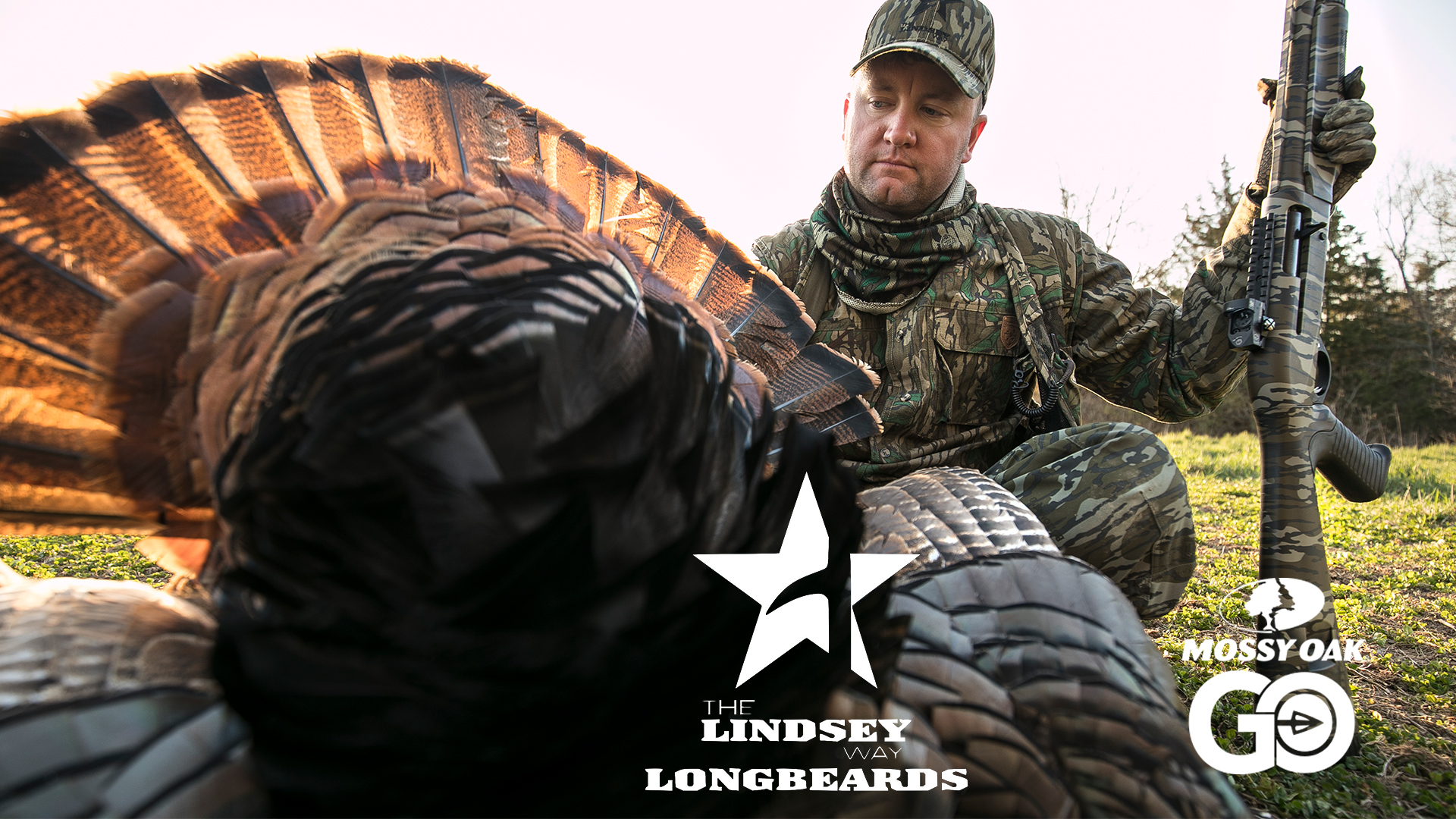 Iowa Sunrise • Lindsey Way Longbeards