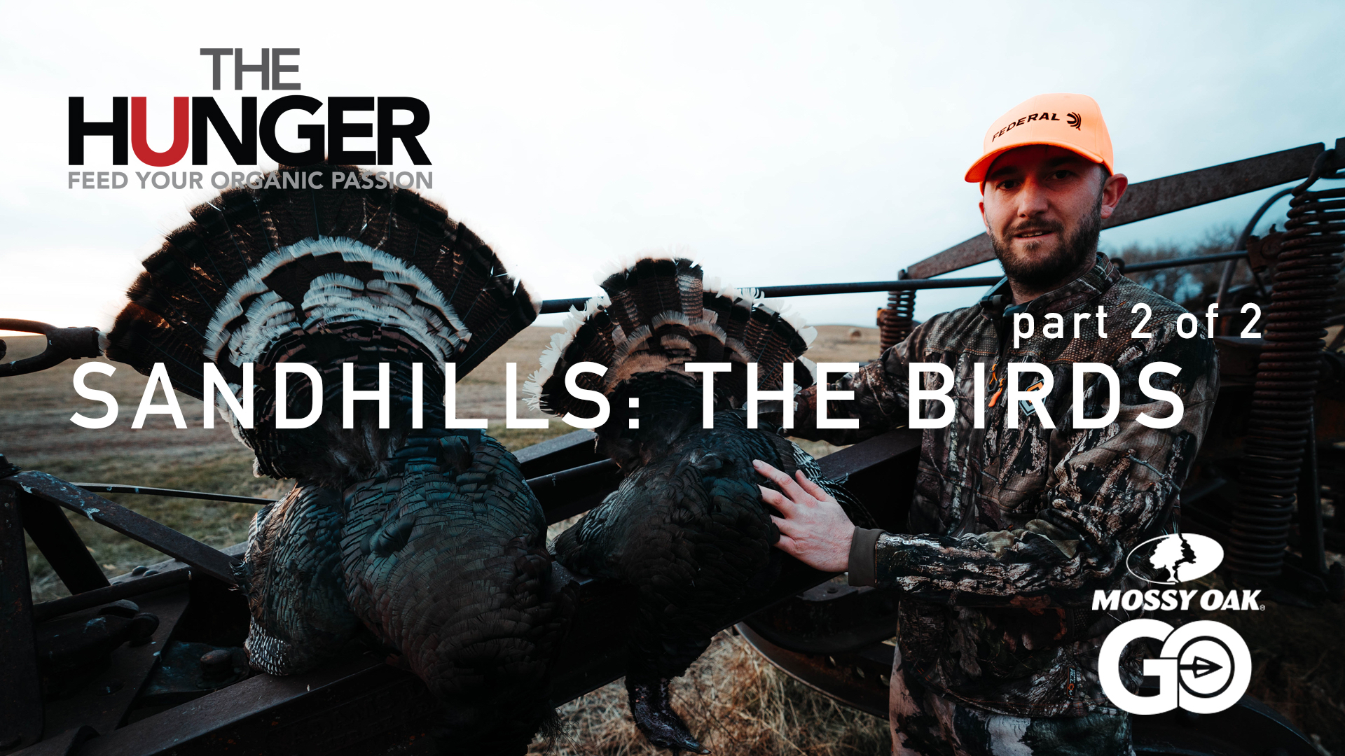 Sandhills • The Birds (Part 2 of 2) • The Hunger
