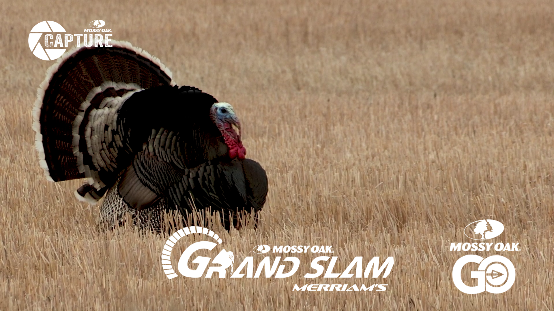 Grand Slam • Episode 9 • Merriams