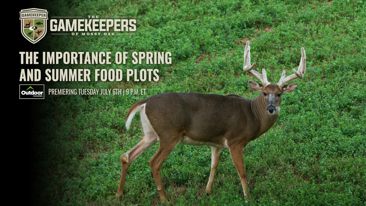 The Importance of Spring / Summer Food Plots • Gamekeepers - Mossy Oak GO