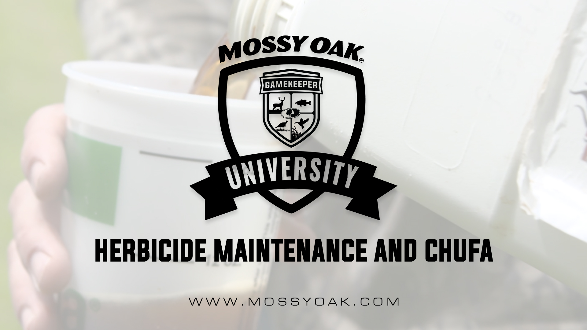 Herbicide Maintenance and Chufa