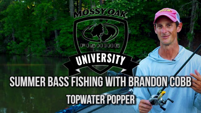 Summer Bass Fishing with Brandon Cobb...