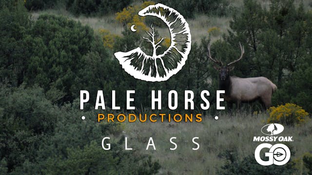 Glass • Pale Horse