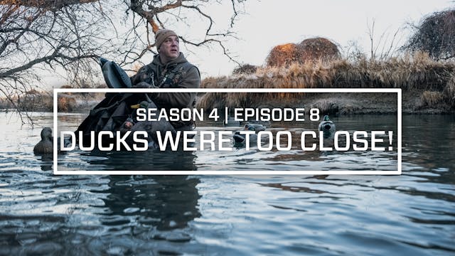 Last Pass Episode 8 • Ducks Were Too ...