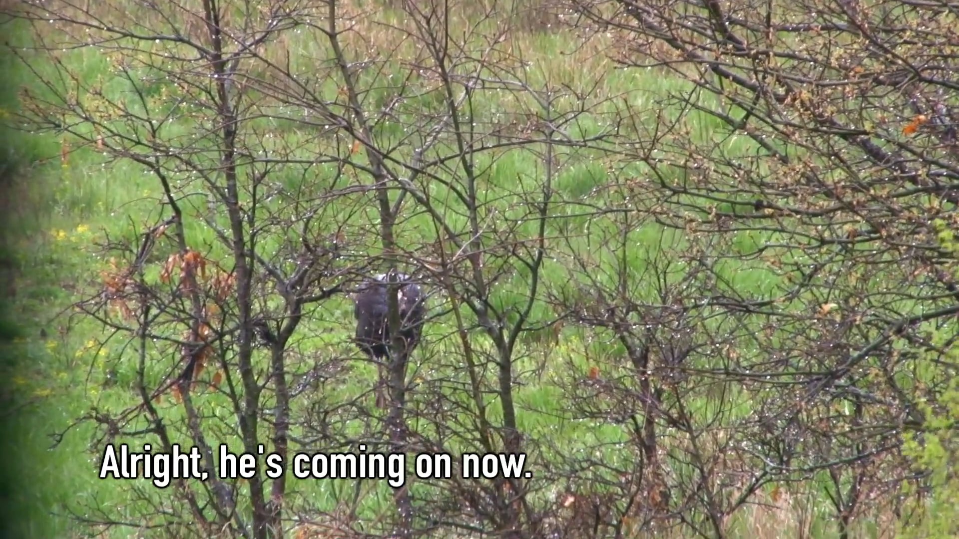 Old Warrior • NBK Episode 13 S5