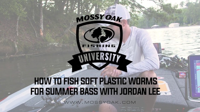 How to Fish Plastic Worms for Summer Bass