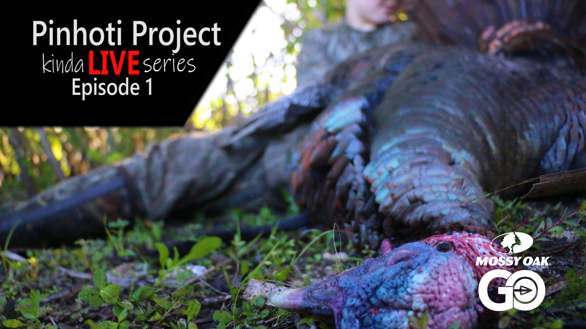 Kinda Live - Episode 1 • Pinhoti Project