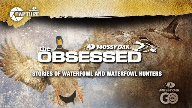 The Obsessed • Waterfowl