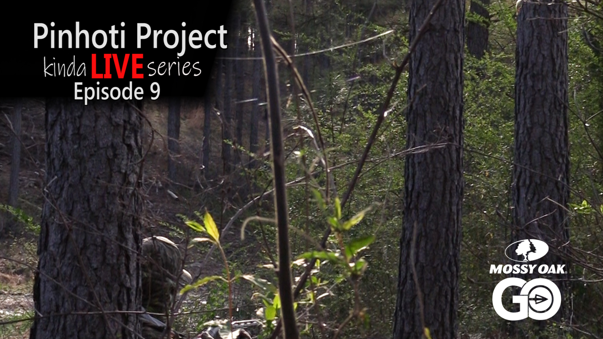 Kinda Live • Episode 9 • Pinhoti Project