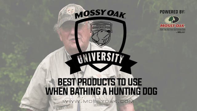 Best Dog Bathing Products