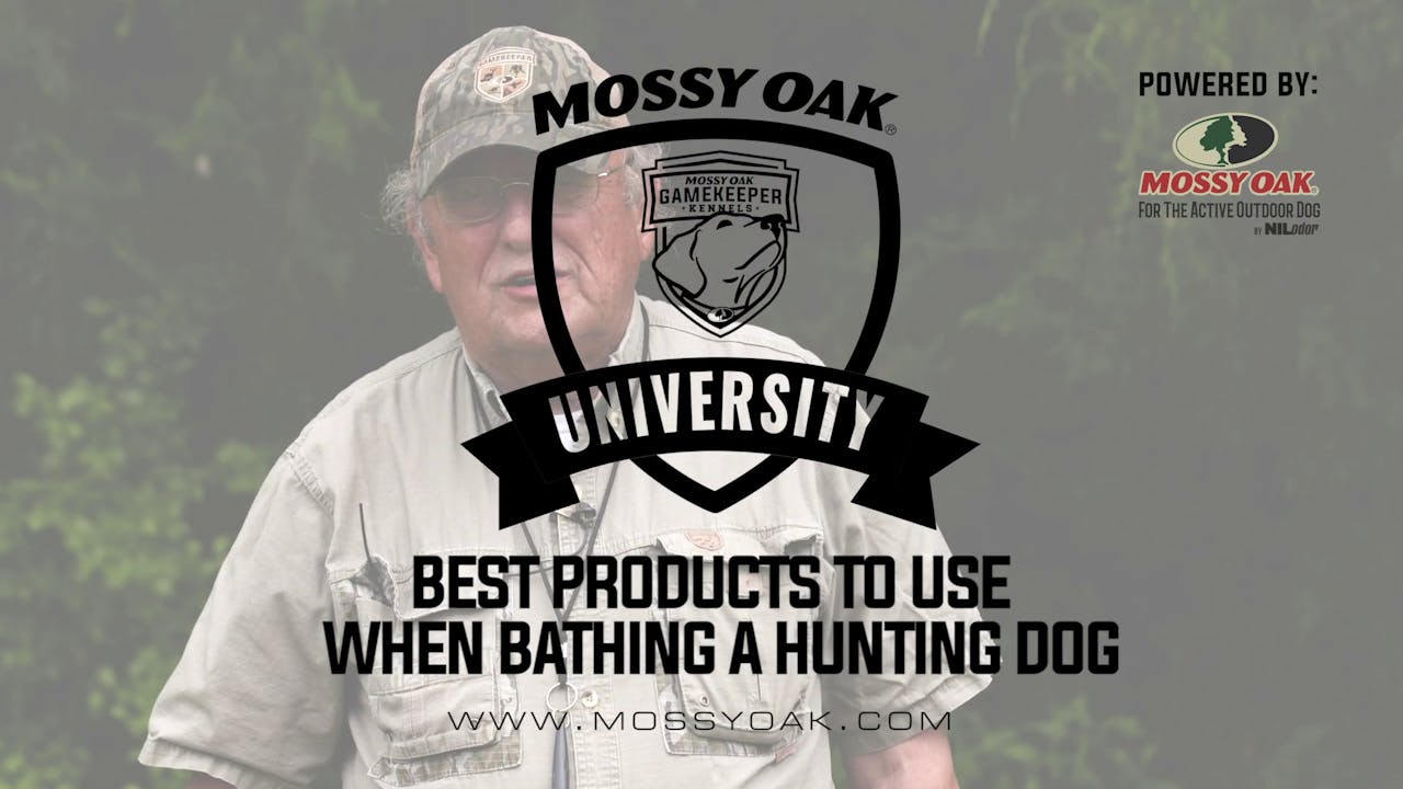 Best Dog Bathing Products Mossy Oak GO